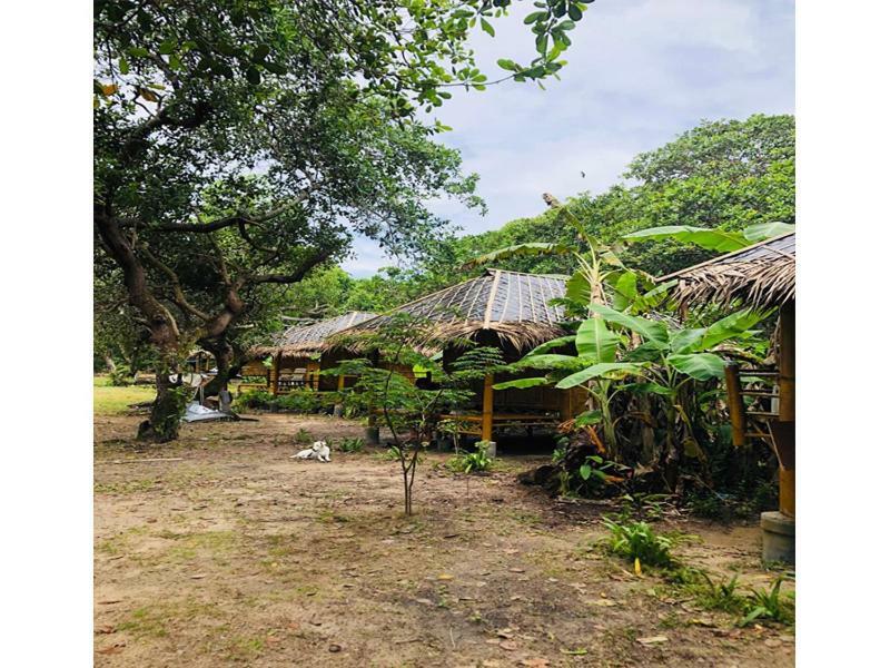 Chalee Tropicana Bungalow Koh Phayam Bagian luar foto