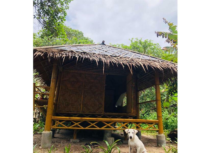 Chalee Tropicana Bungalow Koh Phayam Bagian luar foto